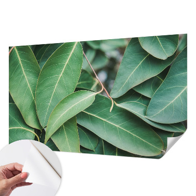 Peel and stick wall mural for kids' room with a green leaves design