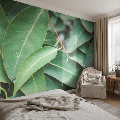 Peel and stick wall mural for kids' room Green leaves