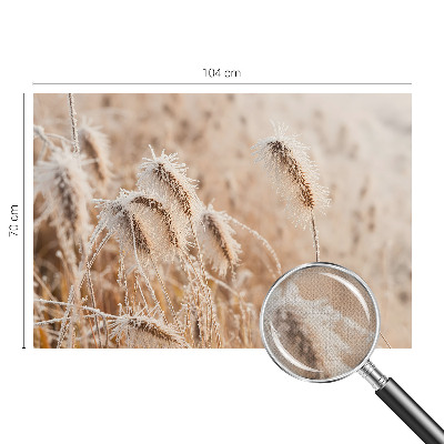 Peel and stick wall mural Winter landscape