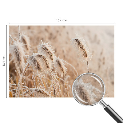 Peel and stick wall mural Winter landscape