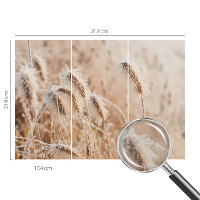 Peel and stick wall mural Winter landscape