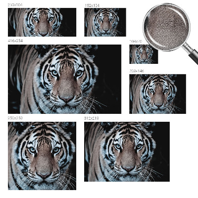 Nursery wall mural with a tiger portrait design