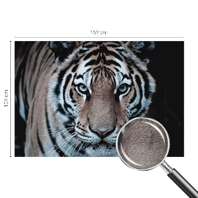 Nursery wall mural Tiger portrait