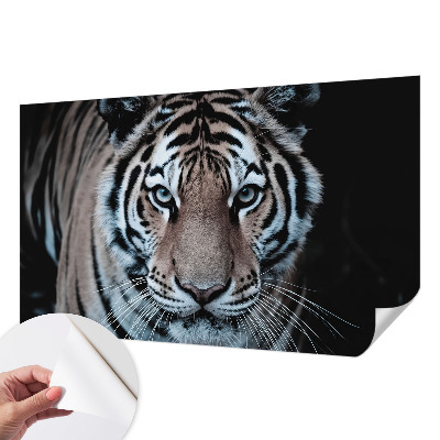 Nursery wall mural Tiger portrait