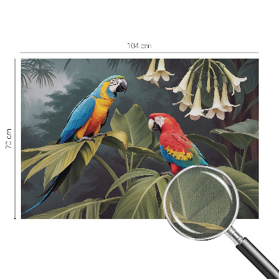 Peel and stick wall mural with a colorful parrots design for the bedroom
