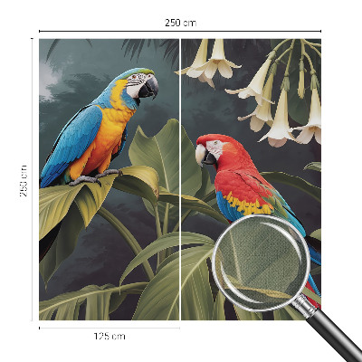 Peel and stick wall mural for bedroom Colorful parrots