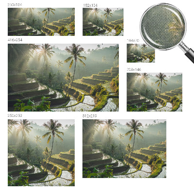 Peel and stick wallpaper mural Paradise terraces