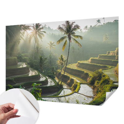 Peel and stick wallpaper mural Paradise terraces