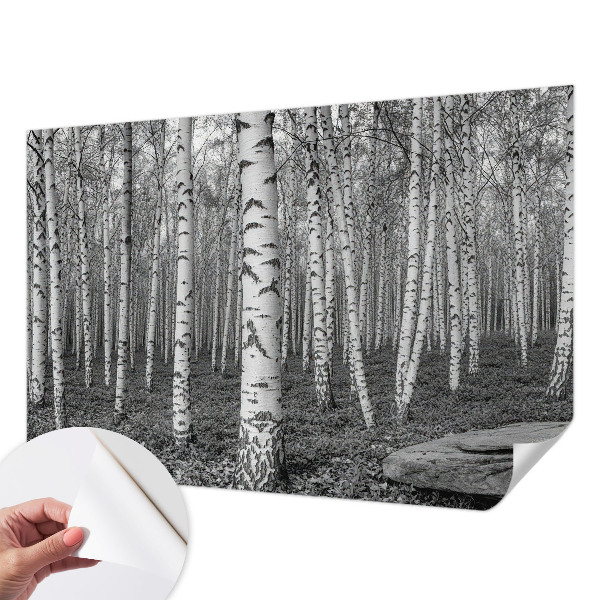 Stick-on wall mural with a birch forest design