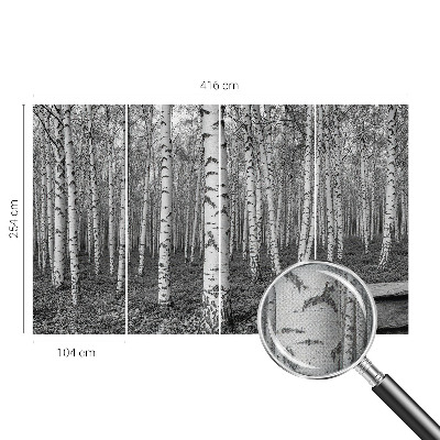 Stick-on wall mural with a birch forest design