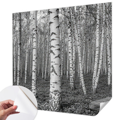 Stick-on wall mural with a birch forest design
