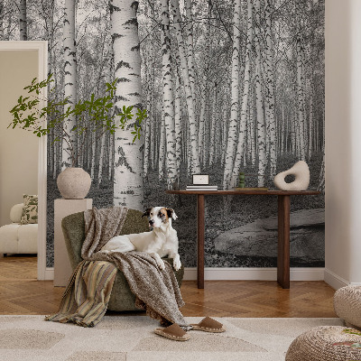Stick-on wall mural with a birch forest design