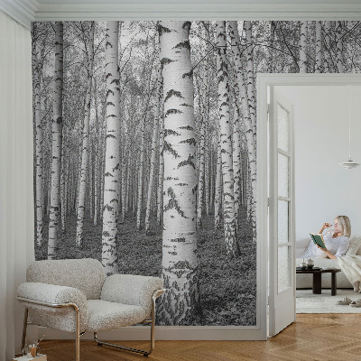 Stick-on wall mural with a birch forest design