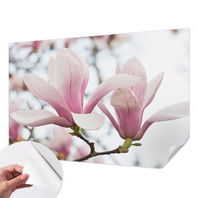 3D photo wallpaper mural Magnolia flowers