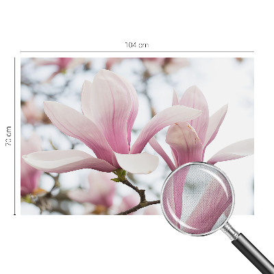 3D photo wallpaper mural Magnolia flowers