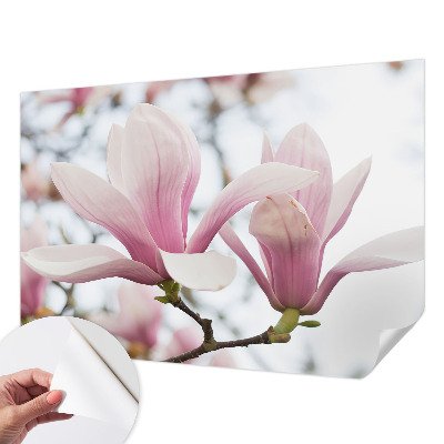 3D photo wallpaper mural Magnolia flowers