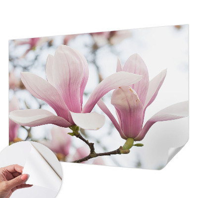 3D photo wallpaper mural Magnolia flowers
