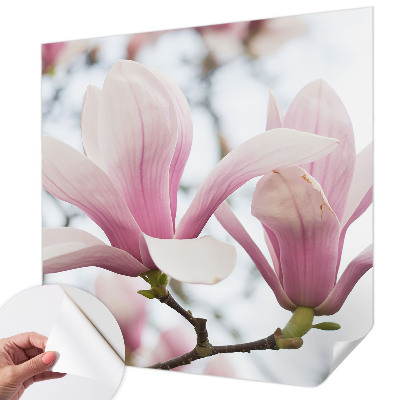 3D photo wallpaper mural Magnolia flowers