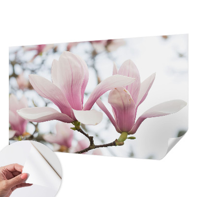 3D photo wallpaper mural Magnolia flowers
