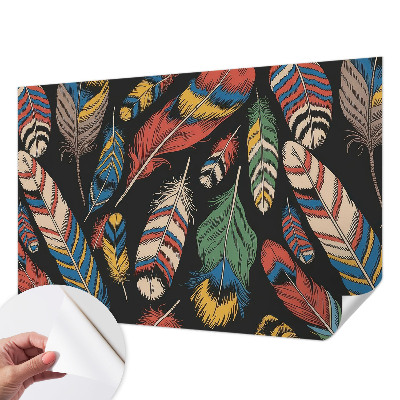 Peel and stick wall mural for bedroom with a colorful feather pattern
