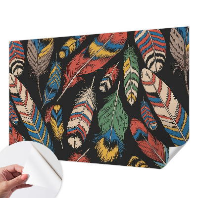 Peel and stick wall mural for bedroom with a colorful feather pattern