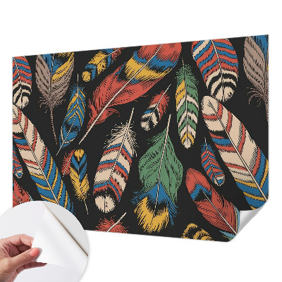 Peel and stick wall mural for bedroom with a colorful feather pattern