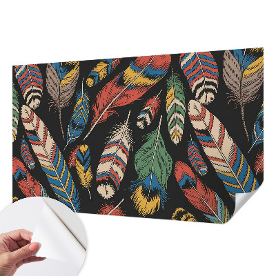 Peel and stick wall mural for bedroom with a colorful feather pattern