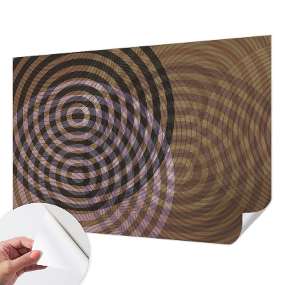 3D photo wallpaper mural Hypnotizing circles