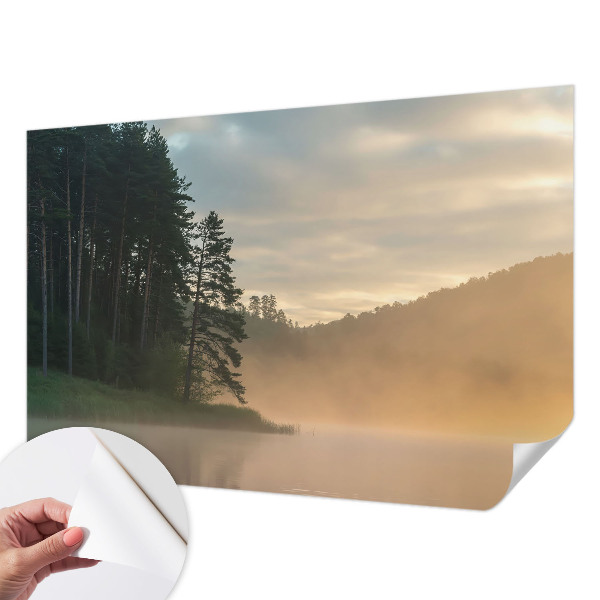 3D wall mural with a foggy morning design