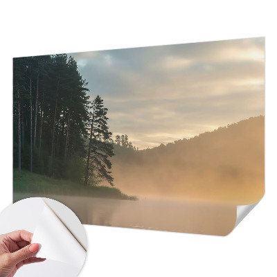 3D wall mural Foggy morning