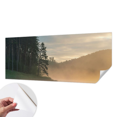 3D wall mural Foggy morning