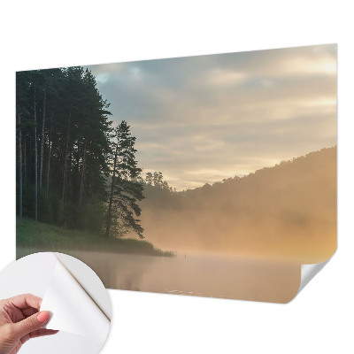 3D wall mural with a foggy morning design
