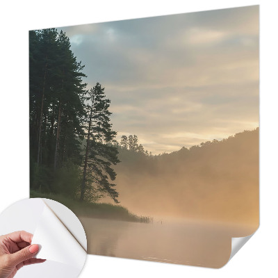 3D wall mural with a foggy morning design