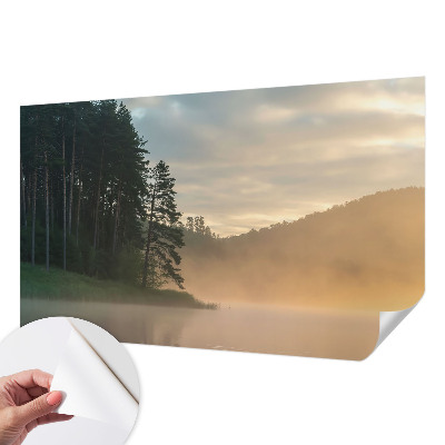 3D wall mural Foggy morning