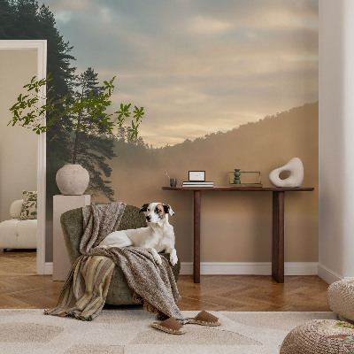 3D wall mural with a foggy morning design