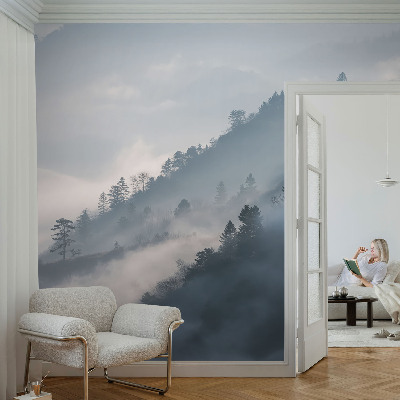 Baby room wall mural Foggy landscape