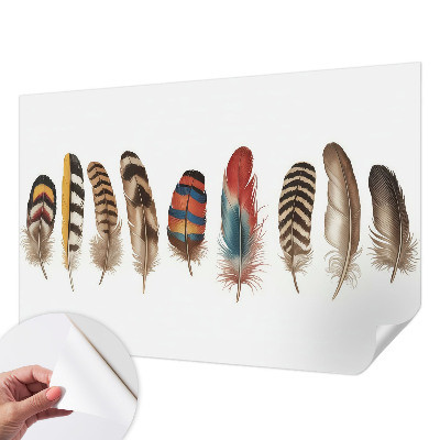 Peel and stick wallpaper mural featuring a colorful feather pattern