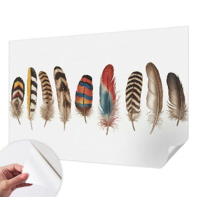 Peel and stick wallpaper mural featuring a colorful feather pattern