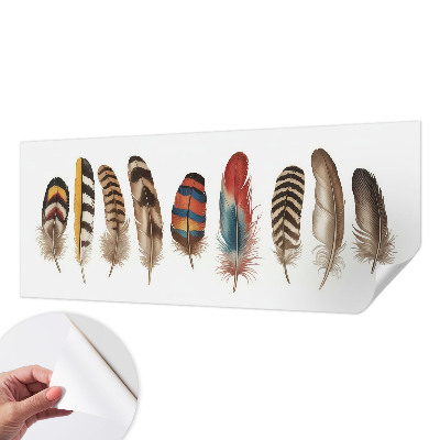 Peel and stick wallpaper mural featuring a colorful feather pattern