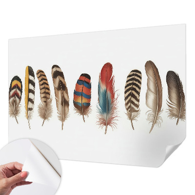 Peel and stick wallpaper mural featuring a colorful feather pattern