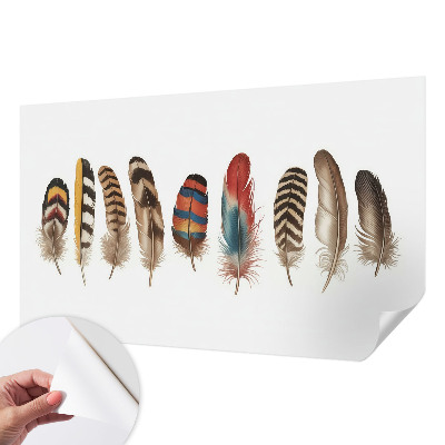 Peel and stick wallpaper mural featuring a colorful feather pattern