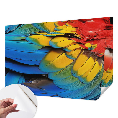 Peel and stick wall mural for living room featuring a rainbow feather design