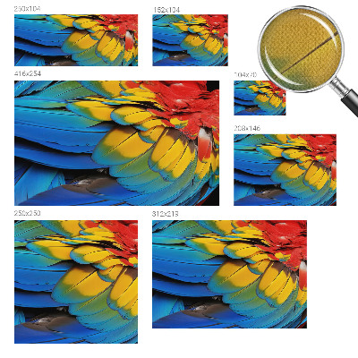 Peel and stick wall mural for living room featuring a rainbow feather design