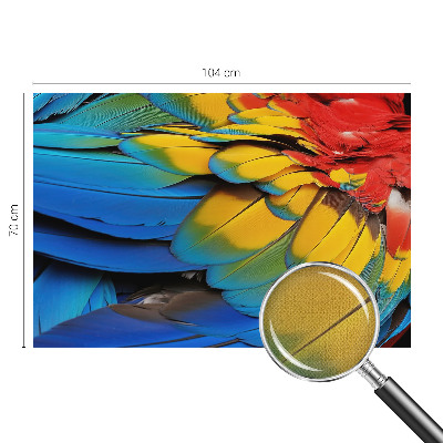 Peel and stick wall mural for living room featuring a rainbow feather design
