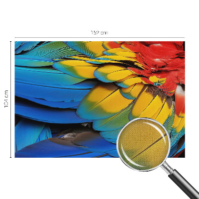 Peel and stick wall mural for living room featuring a rainbow feather design