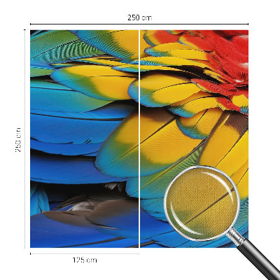 Peel and stick wall mural for living room featuring a rainbow feather design