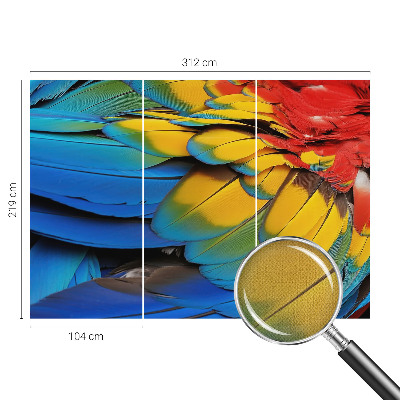 Peel and stick wall mural for living room featuring a rainbow feather design