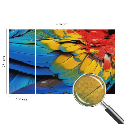 Peel and stick wall mural for living room featuring a rainbow feather design