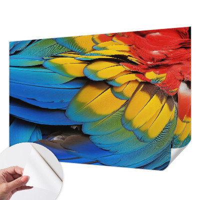 Peel and stick wall mural for living room featuring a rainbow feather design