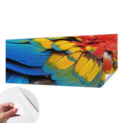 Peel and stick wall mural for living room featuring a rainbow feather design